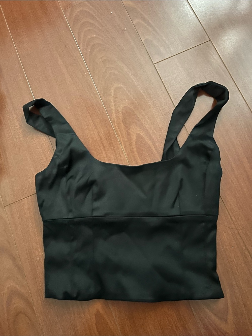 Aritzia Wilfred Shine Bustier